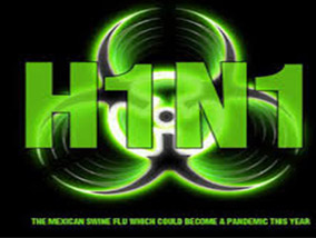 Swine flu (swine influenza) is a respiratory disease caused by viruses