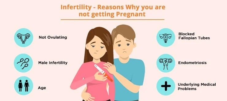 Infertility Treatment Available in Delhi and NCR: A Natural Path to Parenthood at Unani Herbal