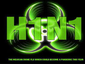 Swine flu (swine influenza) is a respiratory disease caused by viruses Swine flu (swine influenza) is a respiratory disease caused by viruses