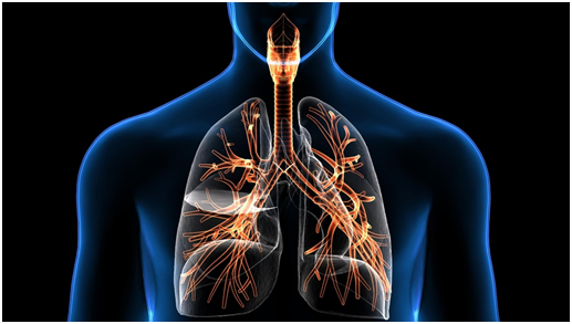 Best Ayurvedic Medicines for Chronic respiratory diseases