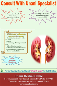 Kidney Disease Ayurvedic Treatment in India Kidney Disease Ayurvedic Treatment in India