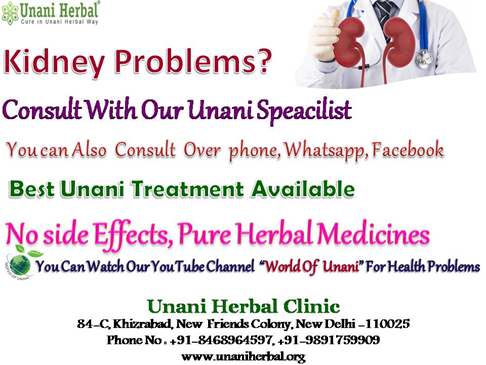 Kidney Disease Ayurvedic Treatment in India Kidney Disease Ayurvedic Treatment in India